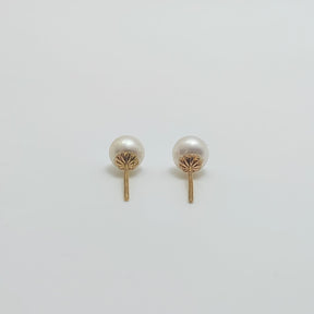 Perlas Acoya 7mm Tornillo
