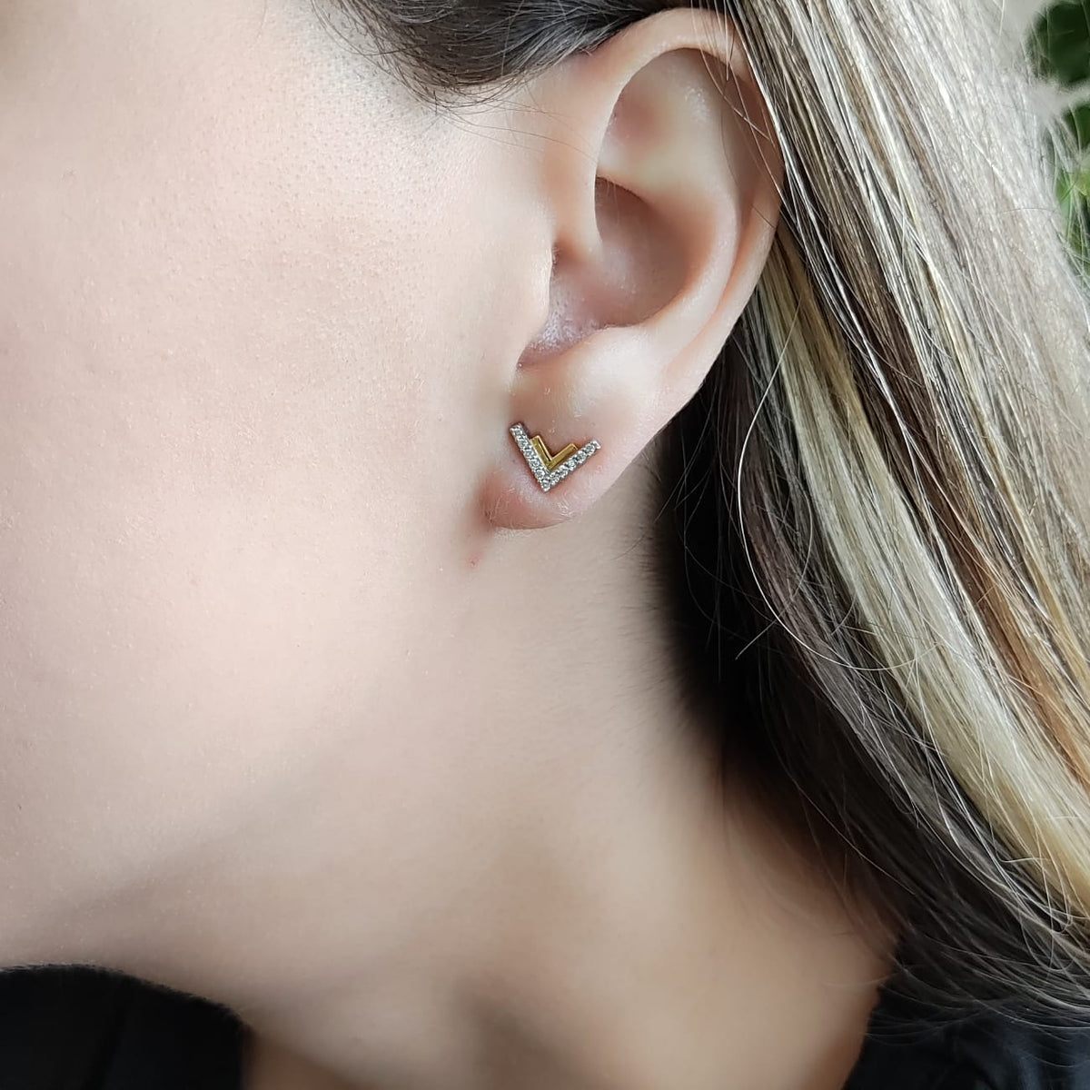 Aros Bicolor V