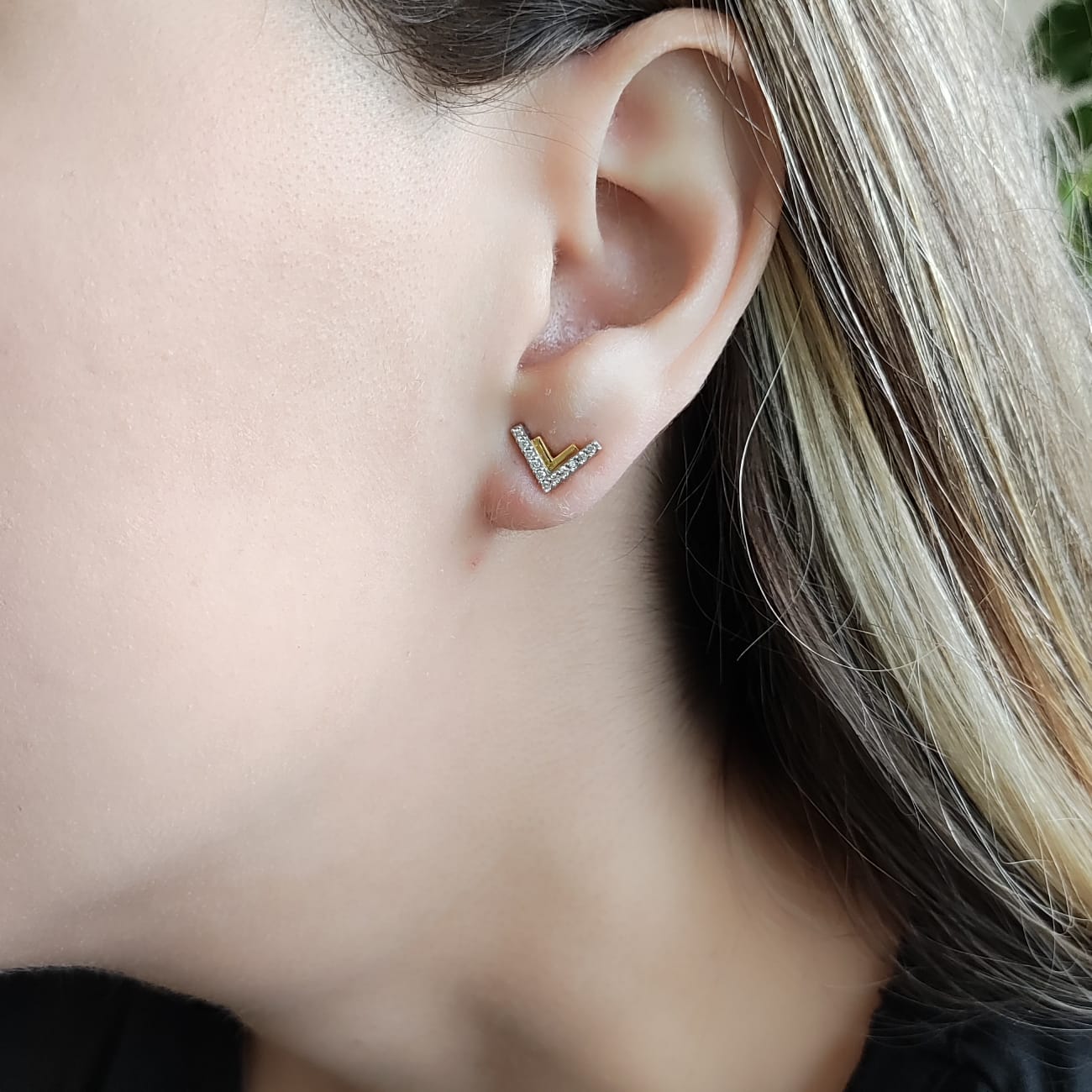Aros Bicolor V