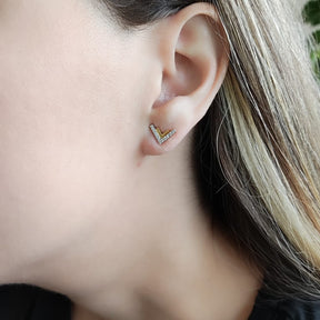 Aros Bicolor V